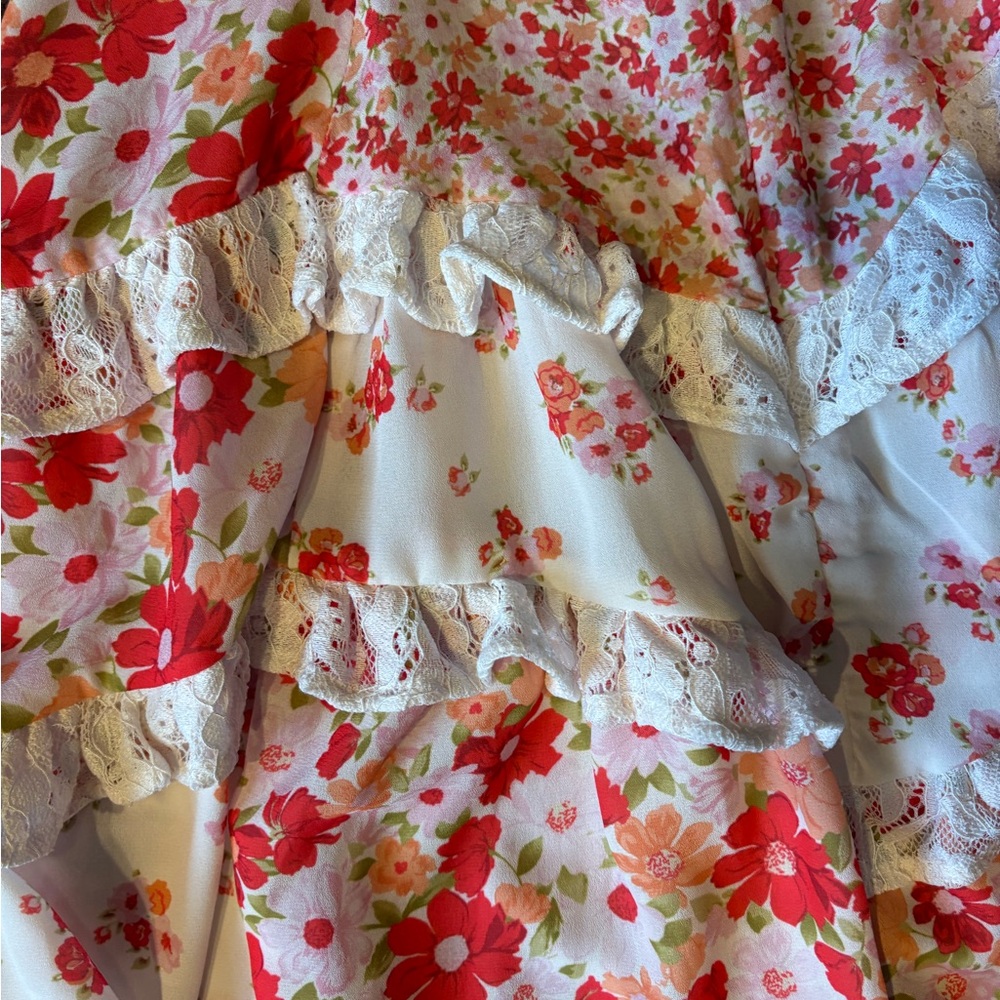 Altar'd State Floral Dress with Lace in Red and Pink - Picture 4 of 5